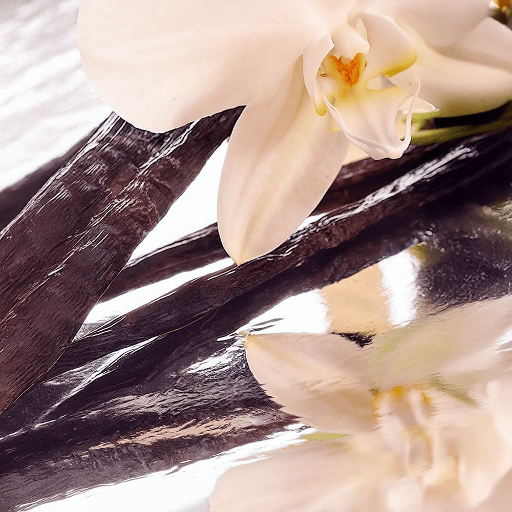 SKN Tallow Balm - Vanilla Bean